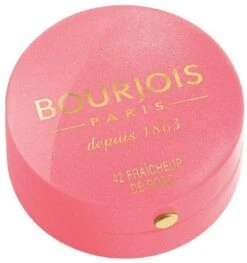 Bourjois Little Round Pot Blush - 54 Rose Frisson 27 Bourjois Little Round Pot Blush - 54 Rose Frisson -Poeder - Foundation Winkel 1129x1200 2