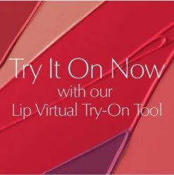 Estée Lauder Pure Color Envy Sculpting Lipstick - 330 Impassioned -Poeder - Foundation Winkel 1193x1200 3