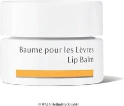Dr. Hauschka Dr. Hauschka Lip Balm 4,5 Ml 11 Dr. Hauschka Dr. Hauschka Lip Balm 4,5 Ml -Poeder - Foundation Winkel 1200x1018