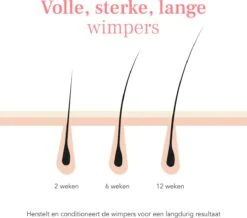 Lashive Wimperserum - Wimper Groeiserum - 3 Ml - Wenkbrauw Serum - Lash Lift Kit - Lashserum -Poeder - Foundation Winkel 1200x1060 1