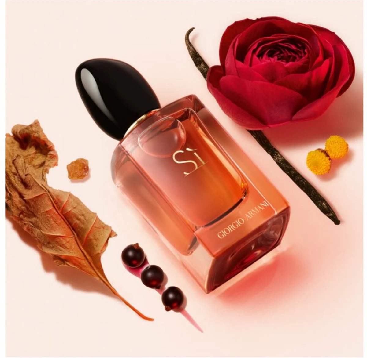 Armani - Eau De Parfum - Si Intense - 100 Ml 5 Armani - Eau De Parfum - Si Intense - 100 Ml - Afbeelding 3