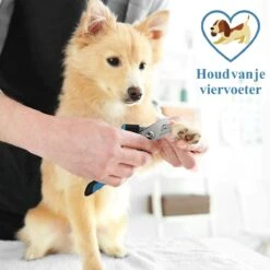 Merkloos Nagelknippper Hond Nagelknipper Kat + E-BOOK - Nagelschaar Hond - Nagelschaar Kat - Honden Nagelknipper - Nagelvijl Hond - Nageltang Hond - Nagelknipper Hond Veiligheidsstop - Nagel Hond - Bwa Commerce -Poeder - Foundation Winkel 1200x1200 1274