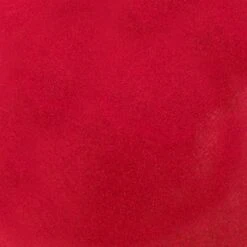 Blèzi® Lip Fix 95 Gracious Red - Lipstick - Lippenstift Langhoudend - Rood Bruin 17 Blèzi® Lip Fix 95 Gracious Red - Lipstick - Lippenstift Langhoudend - Rood Bruin -Poeder - Foundation Winkel 1200x1200 369