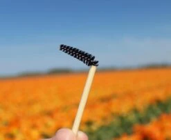 Natural Shaper Brow Soap Met Bamboo Brush – Browsoap - Wenkbrauwgel Met Langdurig Effect – Veilig En Natuurlijk – Brow Shaping - Wenkbrauw Soap -Poeder - Foundation Winkel 1200x984 4