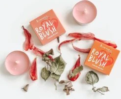 Rimmel London Rimmel - Royal Blush Cream Blush 4 G 002 Majestic Pink - 9 Rimmel London Rimmel - Royal Blush Cream Blush 4 G 002 Majestic Pink - -Poeder - Foundation Winkel 1200x985 1