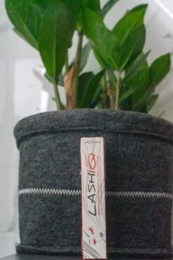 Wimperserum 5ml - Lash Lift - Eyelash - Wimperlifting - LashIQ- Wimper Serum- Wimperserum Groei 11 Wimperserum 5ml - Lash Lift - Eyelash - Wimperlifting - LashIQ- Wimper Serum- Wimperserum Groei -Poeder - Foundation Winkel 799x1200 3