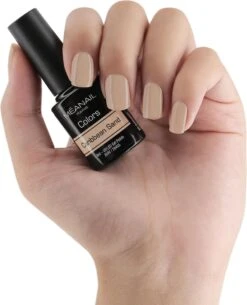 Méanail - Gellak - Cruelty Free- 6 X 8ml - Gel Nagellak - Original -Poeder - Foundation Winkel 972x1200 2